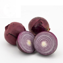 Best Quality Best Price Red Onion Shallot Cebolla
